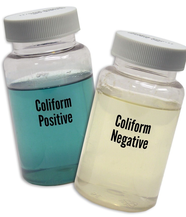 Coliform negative and positive
